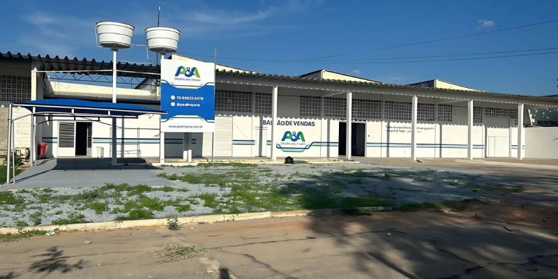 P&A Soluções para Limpeza